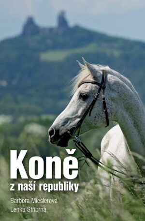 Koně z naší republiky